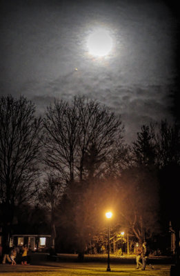Westfield by Moonlight 