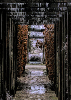 Ice on the Arbour
