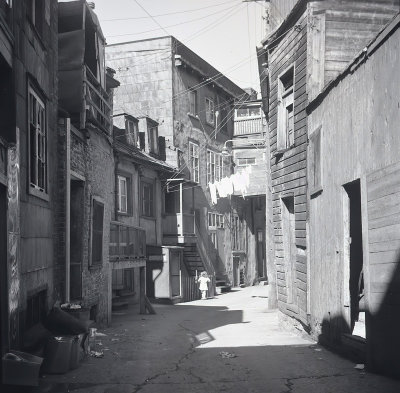 Back Alley 