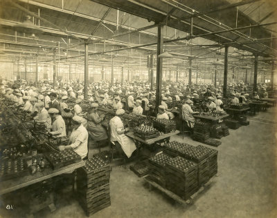 The Soldering Department 