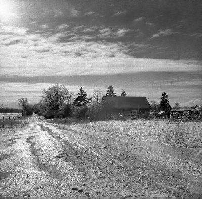 Country Road in Winter 