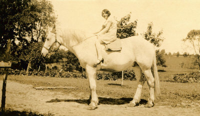 Small Lady on a Large Horse 