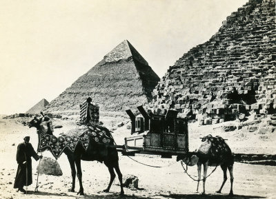 Camels Carrying a Sedan Chair 