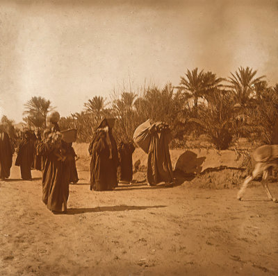 Road in Palestine 