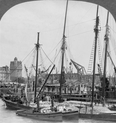 Buenos Aires Harbour 