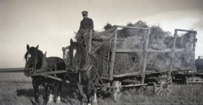 The Hay Wagon  
