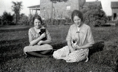 On the Lawn with Kittens 