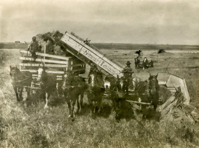 Loading the Hay Wagon