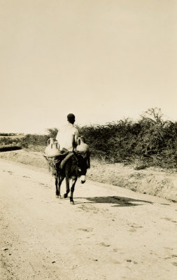 Water Carrier
