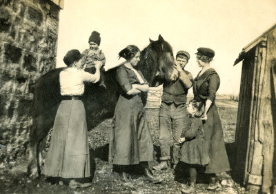 Gathering Around the Horse  