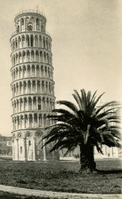 Tower and Palm 