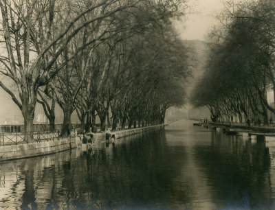 The River