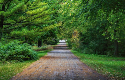 Arboretum Road