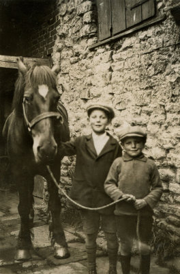 Two Boys and a Horse  