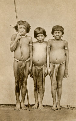 Children of the Arecunas  