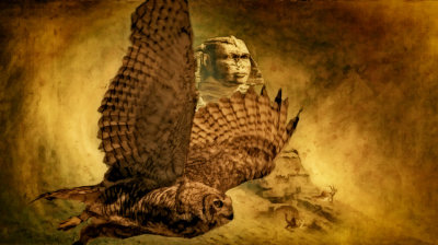 Owl and Sphinx  