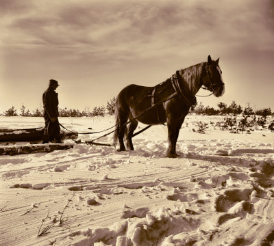 Hauling Logs  