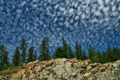 Altocumulus  