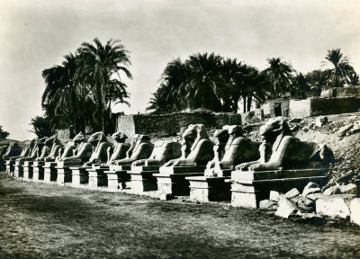 Avenue of the Sphinx  