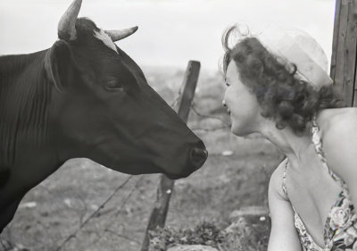 Lady and the Cow 