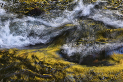 Rapids