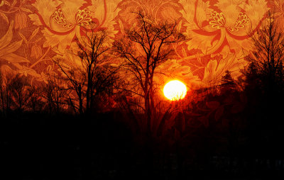 William Morris Sunrise 