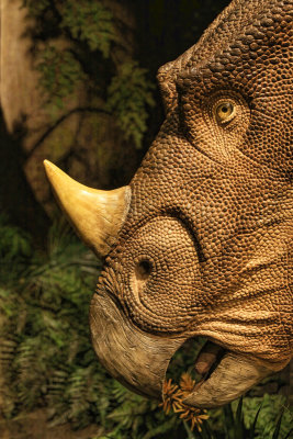 Vagaceratops 