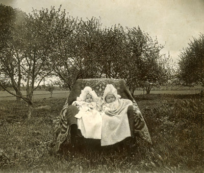 Babies in the Orchard  