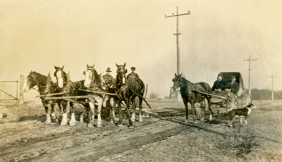 Horse Power