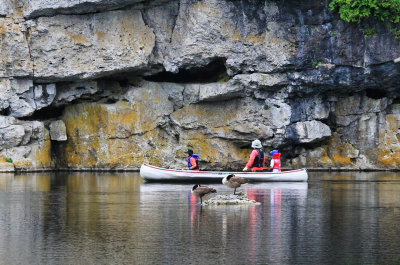 Canoeing at Rockwood
