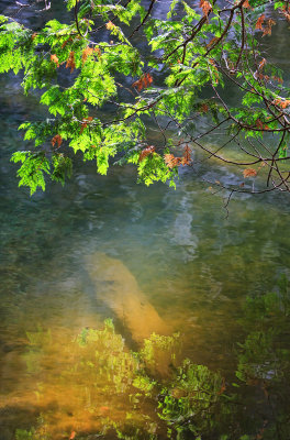 Sunbeam Through the Water