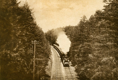 Train in the Pinewoods R.jpg