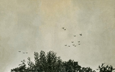 Fortresses Returning