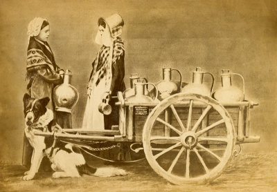 Dog Cart