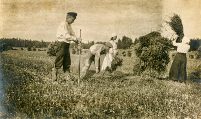 Harvesting  