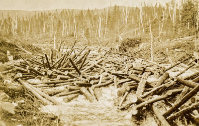 Tumbling Logs  