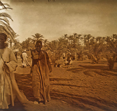 Egyptian Village Scene  