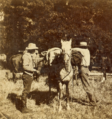 Loading a Packhorse  