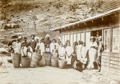 Workers at the Tea Factory  