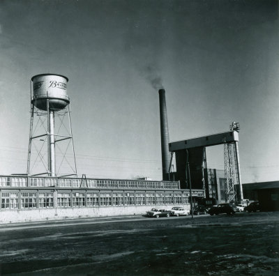 Beatty Plant  