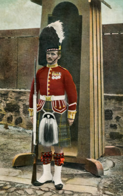Gordon Highlander
