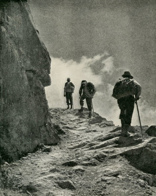 Sherpas Three 