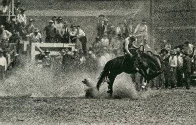 The Rodeo  