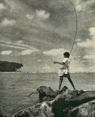 Native Angler, Negombo  