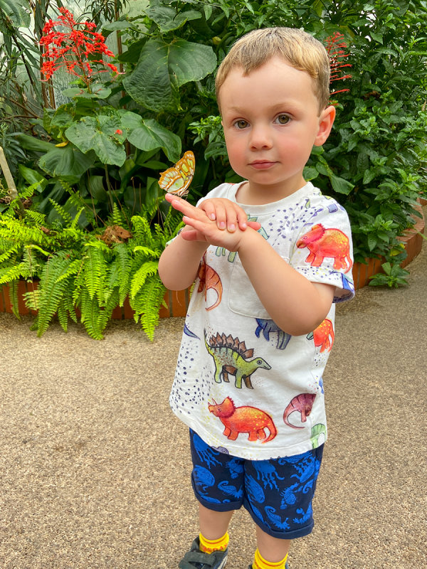 Symonds Yat Butterfly Zoo - Reuben holding a butterfly