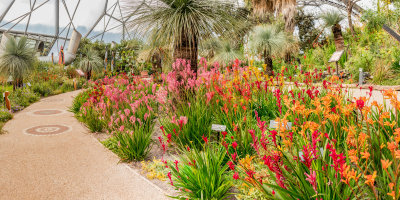 IMG_7672_3_4_5_6_7-Pano-Edit.jpgWestern Australia Garden  - Mediterranean Biome -  A Santillo 2017