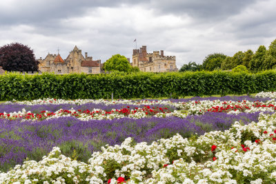 IMG_8487.CR3 The Union Jack Garden - Penshurst Place -  A Santillo 2019