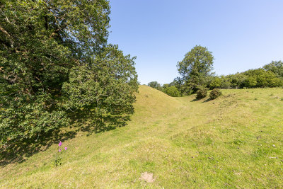 IMG_8871.jpg The remains of the earthworks of Lydford Norman Castle -  A Santillo 2020
