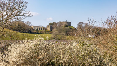 IMG_8598 View of Trematon Castle from Chalk Park, Forder Lake -  A Santillo 2020