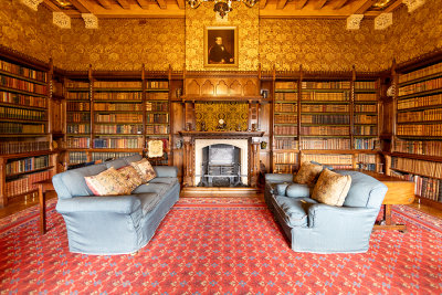 The library.
